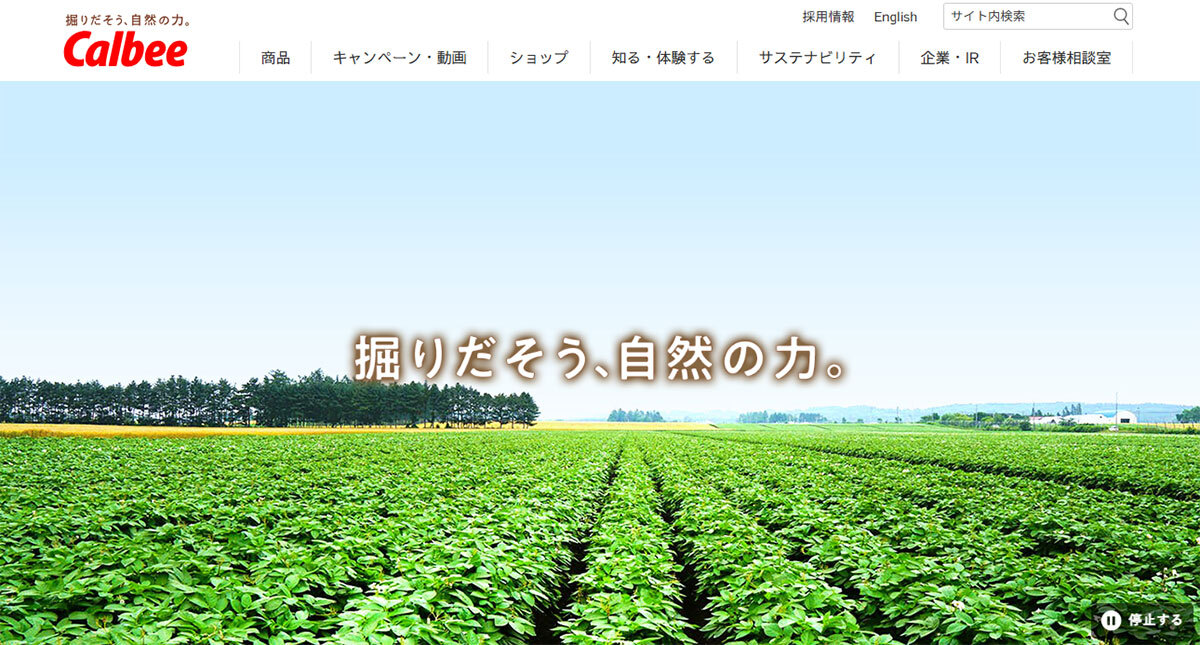 「カルビーの白黒パッケージ」に官邸はピリピリ 民間企業を「呼び出し」までする背景には「疑念」も（デイリー新潮） - Yahoo!ニュース