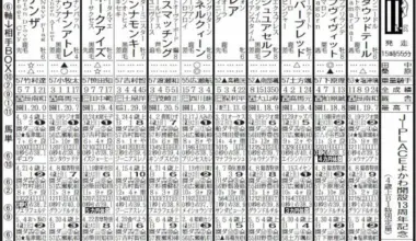 【園田競馬　20日発走　J－PLACEよかわ開設13周年記念】シュネルクィーン　ここなら格上 - スポニチ Sponichi Annex ギャンブル