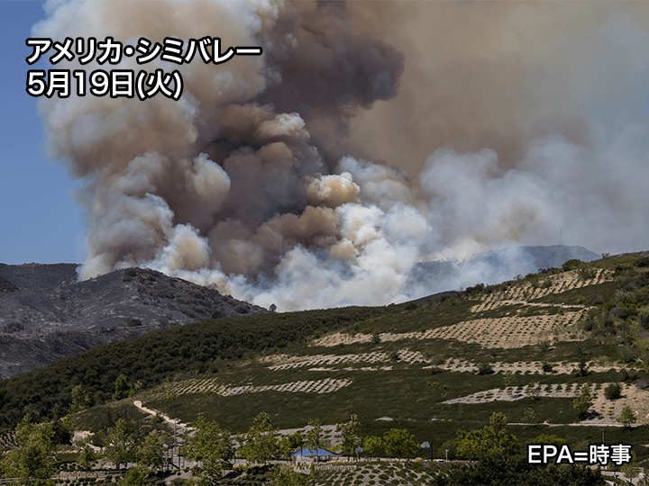 ウェザーニュース