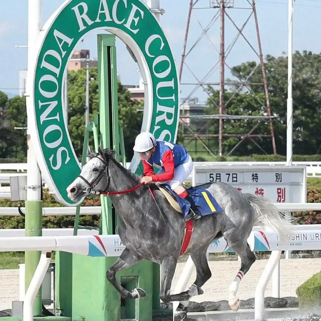 【阪神アーバン競馬展望】6月4日の重賞・六甲盃　エイシンレオが悲願の重賞初Vへ - スポニチ Sponichi Annex ギャンブル