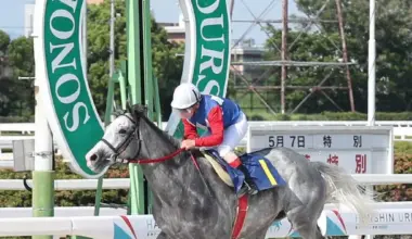 【阪神アーバン競馬展望】6月4日の重賞・六甲盃　エイシンレオが悲願の重賞初Vへ - スポニチ Sponichi Annex ギャンブル
