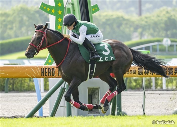 穴党必見のベテラン馬エヒト