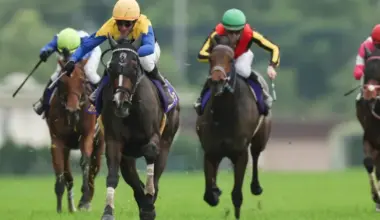 【オークス2026】出走馬全頭診断 注目データ＆予想のポイント 元競馬記者が解説｜優駿牝馬 image
