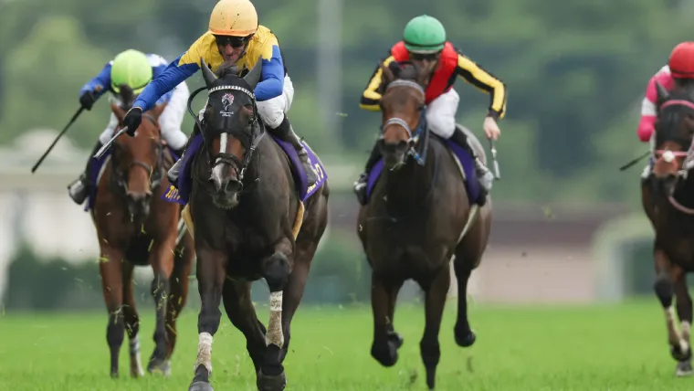 【オークス2026】出走馬全頭診断 注目データ＆予想のポイント 元競馬記者が解説｜優駿牝馬 image