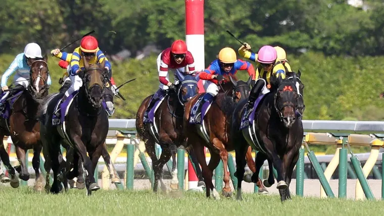 【NHKマイルC】元競馬記者芸人が予想！ 中央競馬G1 2026 ｜印・買い目・出走馬分析 image