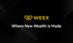 マスクの xAI が Skills を発表しました。
