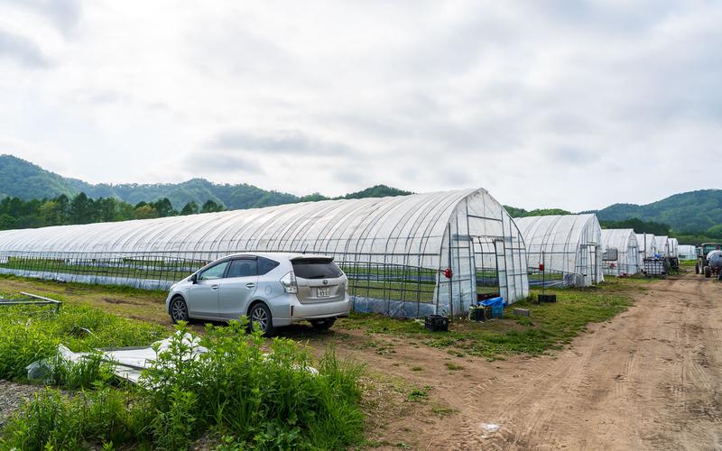 WFPダチョウファーム