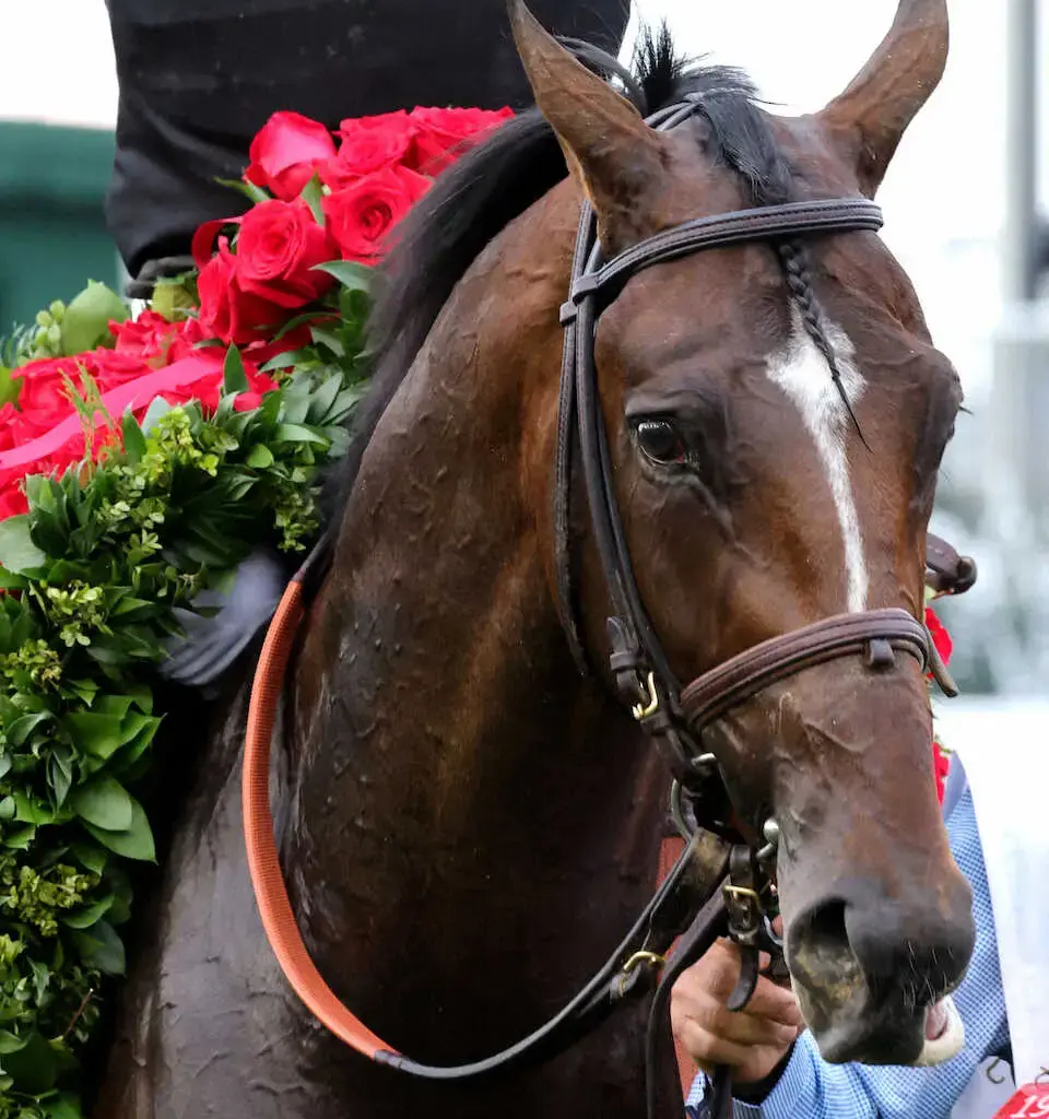 米3冠最終戦ベルモントS枠順確定　KYダービー馬ゴールデンテンポ9番　オシェリ回避で3冠皆勤馬が不在 - スポニチ Sponichi Annex ギャンブル
