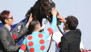 ヴィクトリアマイルを制した2冠牝馬エンブロイダリーが8・16仏ジャックルマロワ賞登録へ - スポニチ Sponichi Annex ギャンブル