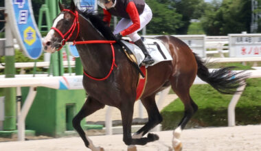 園田競馬２Rでイマジンレノンに騎乗し地方通算３９００勝を達成した吉村智洋騎手（カメラ・川崎　俊介）