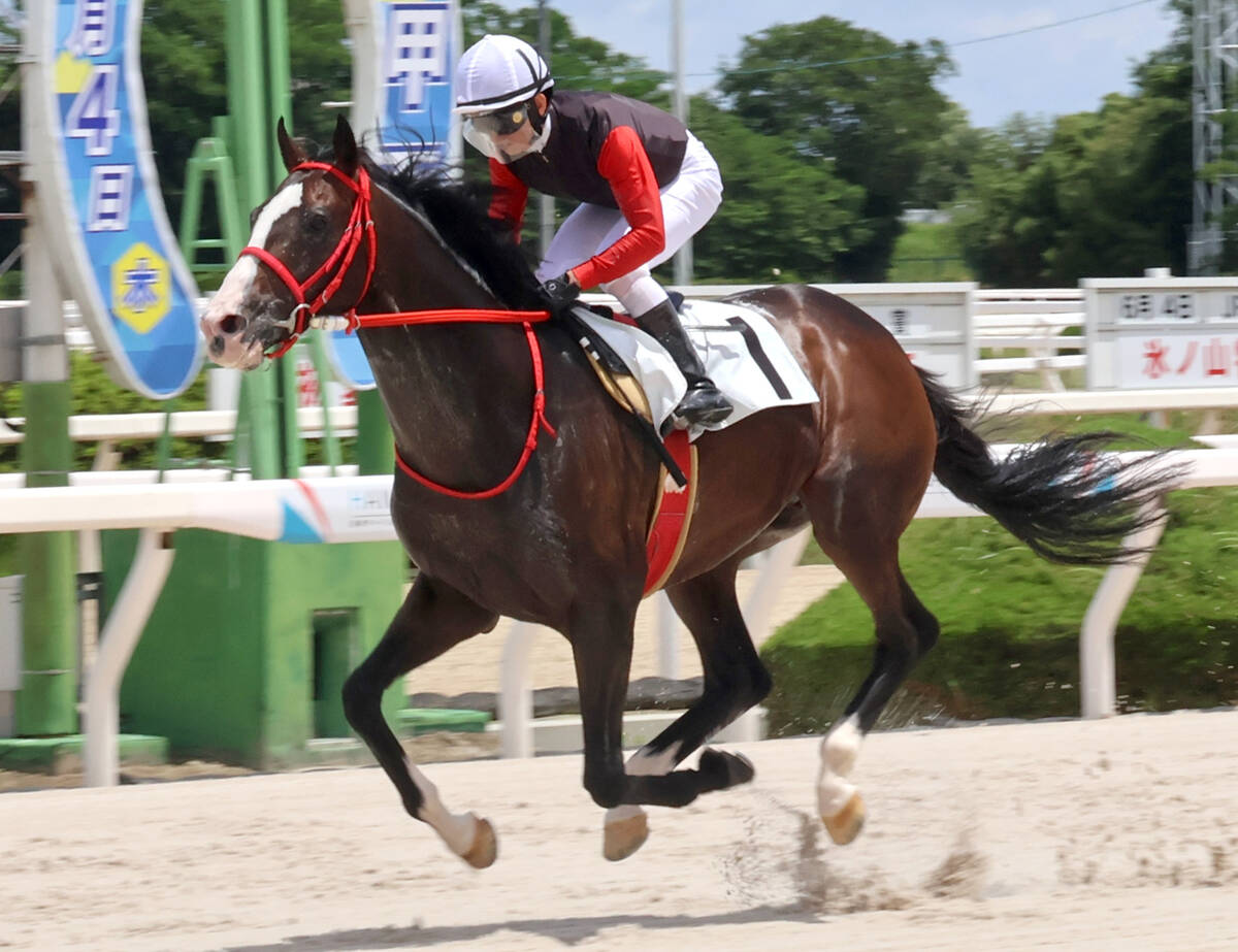 園田競馬2Rでイマジンレノンに騎乗し地方通算3900勝を達成した吉村智洋騎手(カメラ・川崎 俊介)