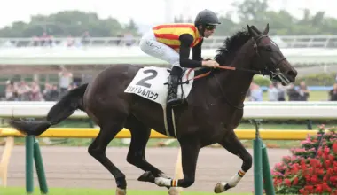 【東京5R】ジョドレルバンクが新種牡馬エフフォーリア産駒初V　レーン「次にステップアップできる」 - スポニチ Sponichi Annex ギャンブル