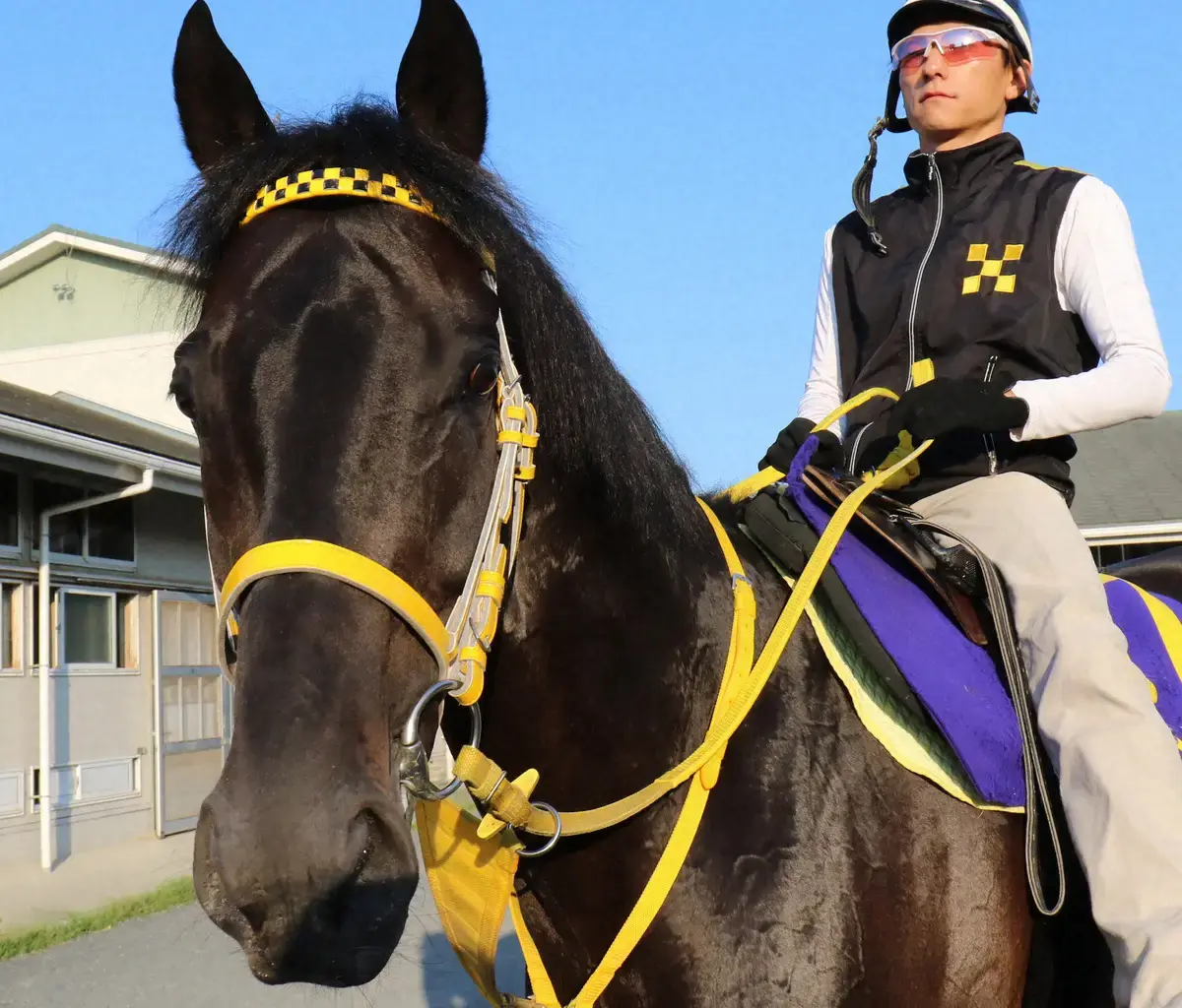 重賞3勝馬ラストインパクト死す　ノーザンホースパーク「天国では心おきなく駆け回って」 - スポニチ Sponichi Annex ギャンブル