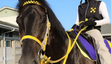 重賞3勝馬ラストインパクト死す　ノーザンホースパーク「天国では心おきなく駆け回って」 - スポニチ Sponichi Annex ギャンブル