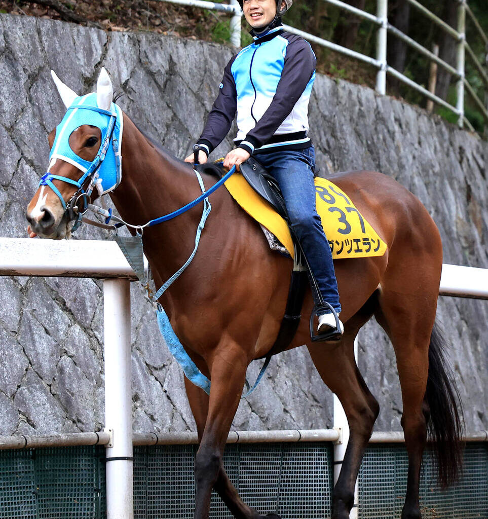 ダンツエラン