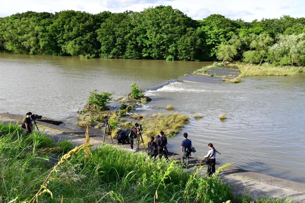 たつのの河川で男性遺体発見 母娘殺害、指名手配中の容疑者か 兵庫県警|事件・事故 - 神戸新聞