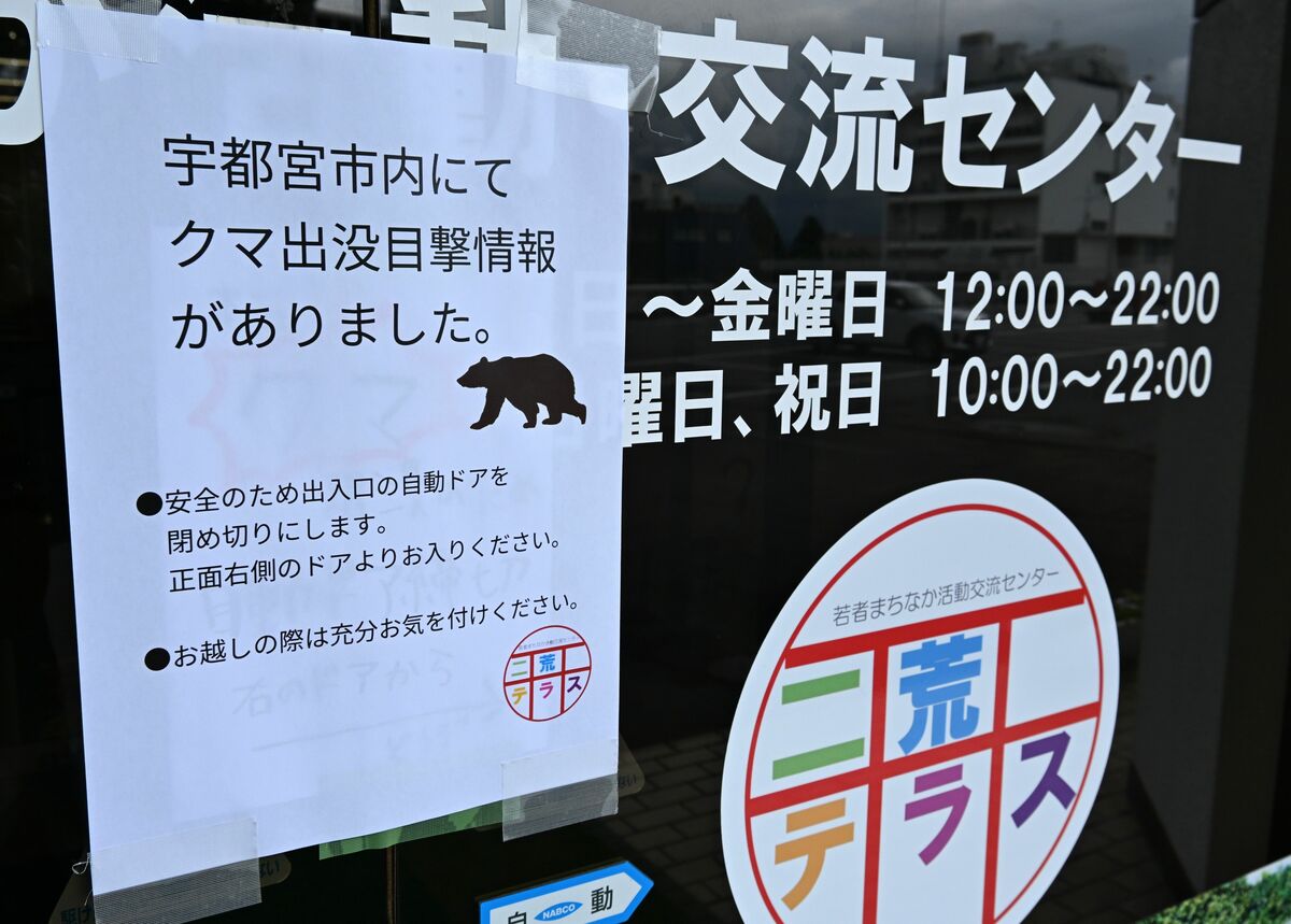 宇都宮の市街地にクマ出没 「早く捕まって」市民不安 イベント中止や対策グッズ購入急増も - 下野新聞社