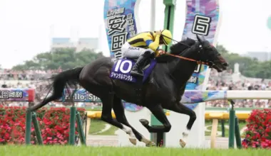 【元競馬記者が解説】安田記念2026 追い切り評価 ベスト3＆出走馬全頭調教診断 ダービー・ロブチェン＆オークス・ジュウリョクピエロS評価｜レース分析 image