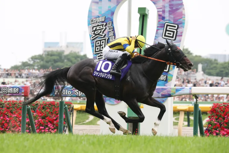 【元競馬記者が解説】安田記念2026 追い切り評価 ベスト3＆出走馬全頭調教診断 ダービー・ロブチェン＆オークス・ジュウリョクピエロS評価｜レース分析 image