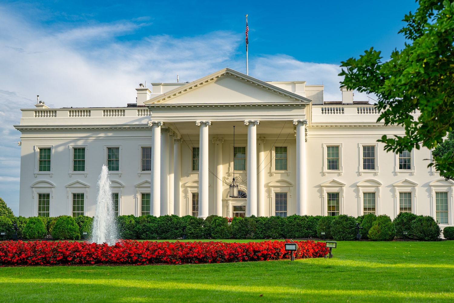 AIは民間投資家だけに任せるには重要すぎるのか？ トランプ氏の見解 | Yellow.com