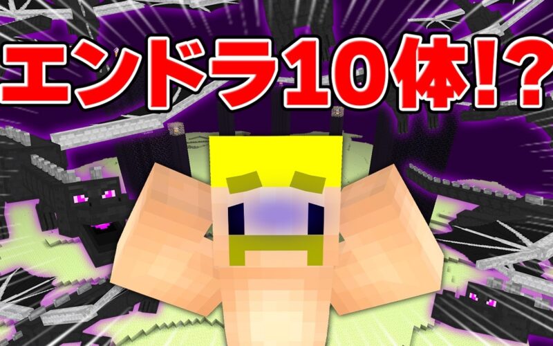 すべてが「最強」の世界でエンドラ討伐【マイクラ】