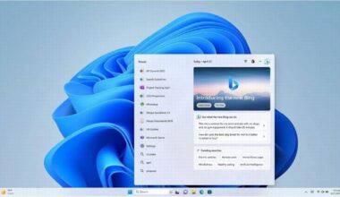 Windows 11、検索ボックスを4ピクセル拡大へ　Microsoft社員「社内テスト中」 | TECH+（テックプラス）
