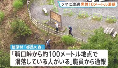 「滑落している人がいる」クマに遭遇した56歳男性が10mほど滑落 顔などにけが 東京・檜原村「都民の森」近くの登山道（TBS NEWS DIG Powered by JNN）