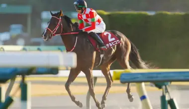 テルヒコウ函館凱旋 名付け親のTERU＆武豊の2ショットが実現！？「ユタカに乗ってほしいと希望が」 - スポニチ Sponichi Annex ギャンブル