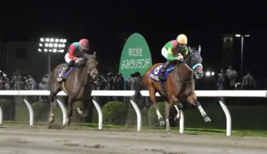 【川崎競馬　スパーキングレディーC】1番人気タガノミストが重賞初制覇　3角先頭から堂々押し切り - スポニチ Sponichi Annex ギャンブル