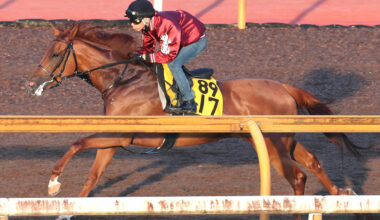 馬トク激走馬に計算されたタガノアビー（カメラ・馬場　秀則）