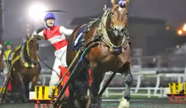 【ばんえい競馬　ばんえい大賞典】ヤマトテンショウ　逃げて1冠目　谷あゆみ師＆中村太陽も重賞初V - スポニチ Sponichi Annex ギャンブル