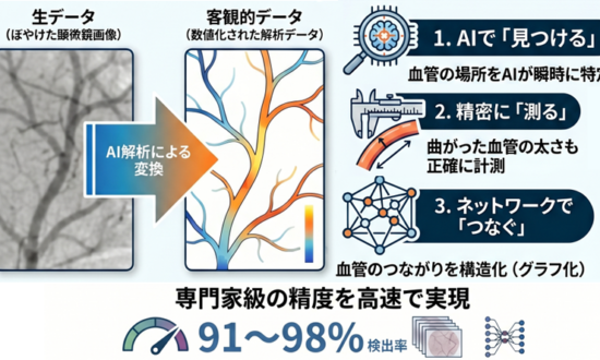 血管の複雑な形をAIで自動測定する新ツールを開発　福井大学 | 医薬通信社