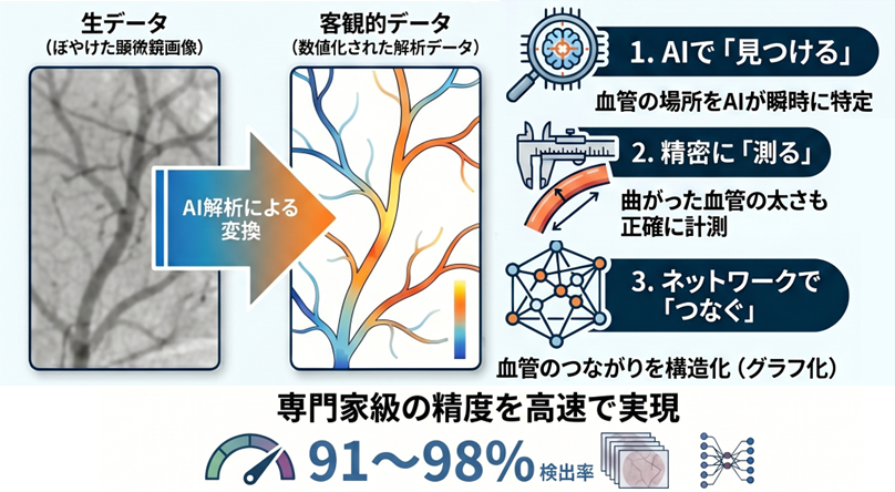 血管の複雑な形をAIで自動測定する新ツールを開発　福井大学 | 医薬通信社