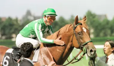 仏ジャックルマロワ賞の馬券発売が決定　武豊シックスペンス、モレイラ騎乗シュトラウスが参戦　JRA発表 - スポニチ Sponichi Annex ギャンブル