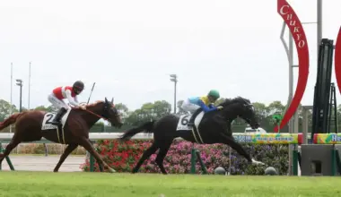 【中京3R・新馬戦】高額馬ドラゴンバルド初陣V　父コントレイルの主戦・福永師「来年の大きい舞台に」 - スポニチ Sponichi Annex ギャンブル