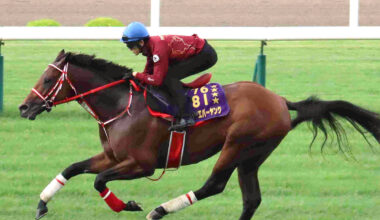 函館競馬場の芝コースで追い切りを行うフォーエバーヤング
