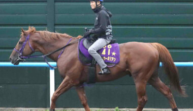 馬トク激走馬に計算されたウインカーネリアン（カメラ・水納愛美）
