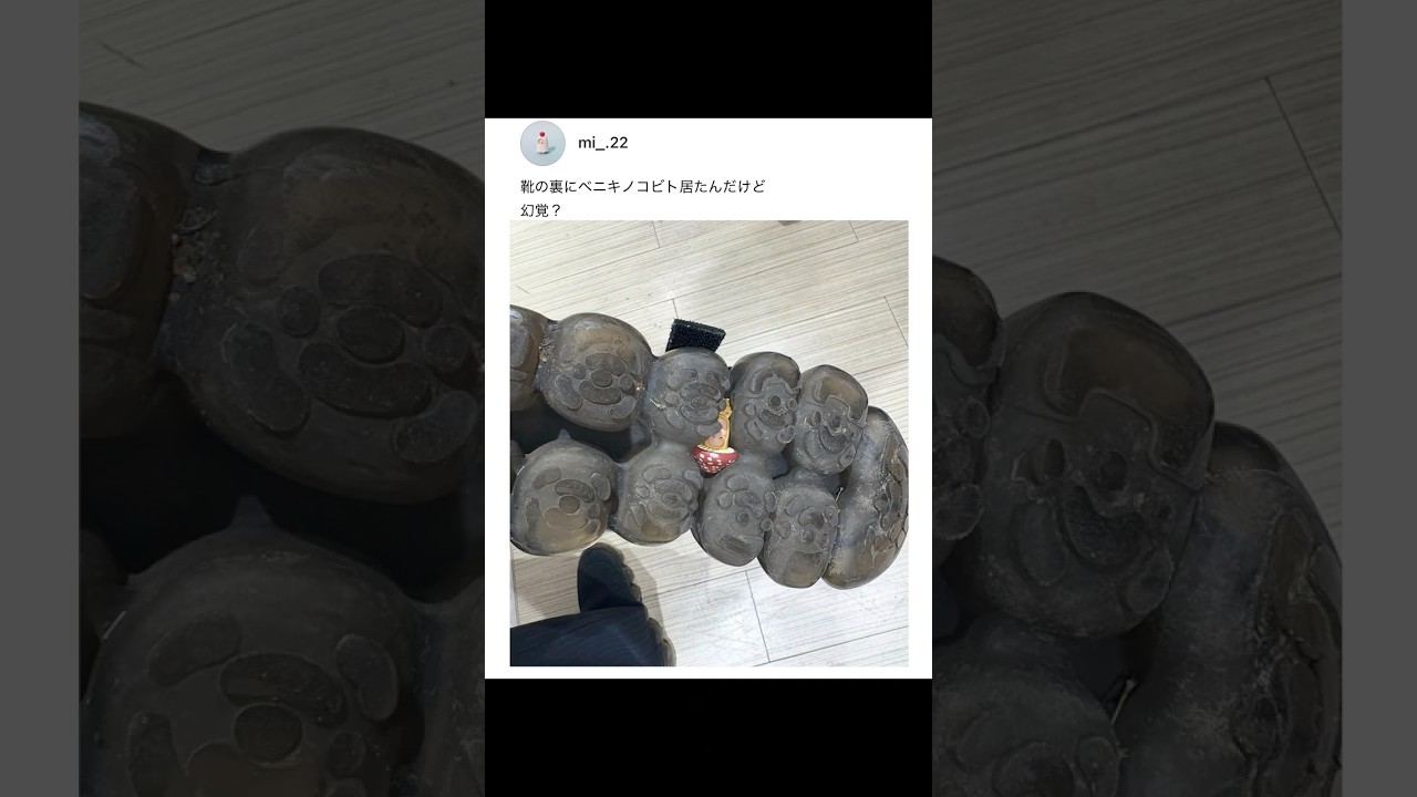靴の裏になんかいた