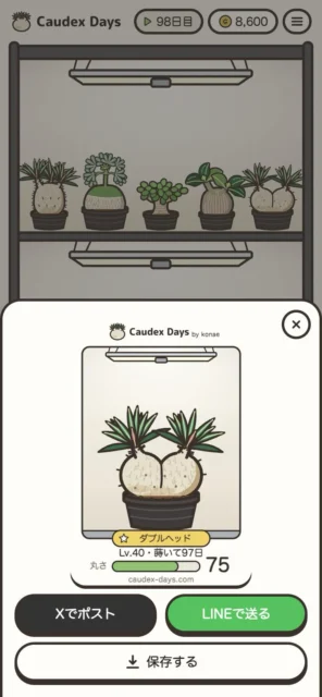 シェア用の画像（植物）：ダブルヘッドの株を表示したCaudex Daysの画面